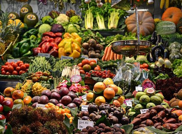Frente a las infecciones que vienen ¿Qué debemos comer para fortalecer nuestro sistema inmune?