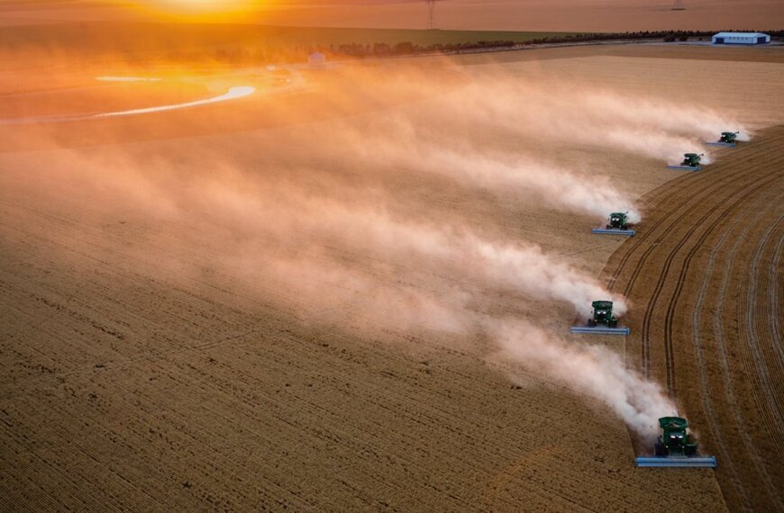 Cinco pasos para alimentar al mundo