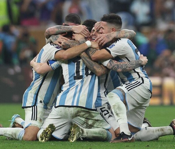 Argentina campeón del mundo, en vivo: los festejos y las últimas noticias minuto a minuto