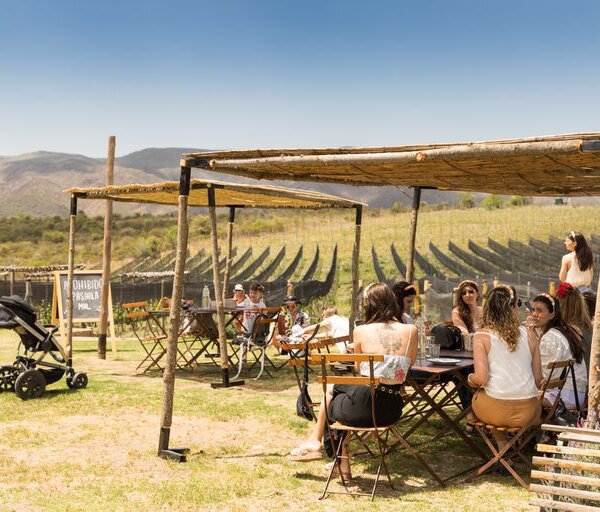 Nébula. Un viñedo boutique para sentirse en la Toscana en plena sierras cordobesas