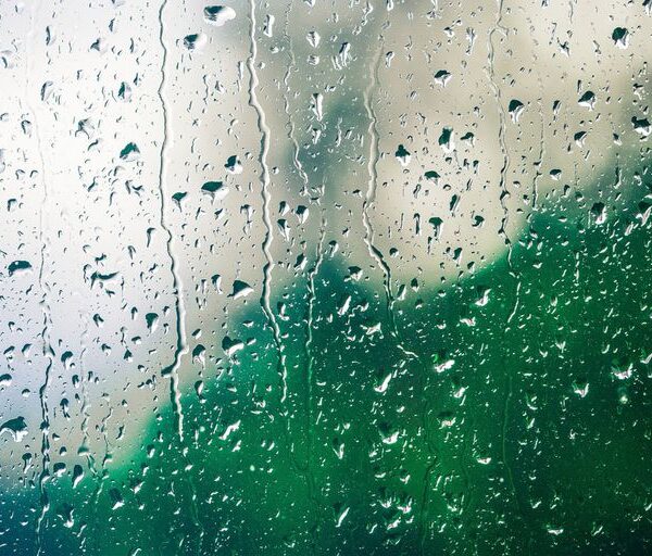 Clima en Pinamar hoy: cuál es el pronóstico del tiempo para el 29 de diciembre