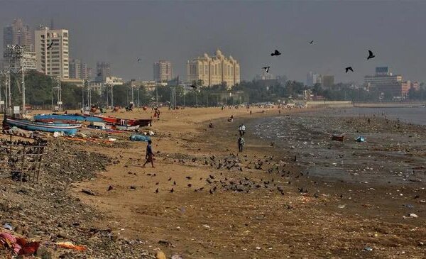 Desde contaminación hasta extraños animales: las 5 playas más peligrosas que nunca deberías visitar