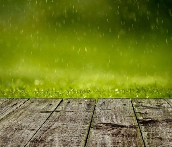 Clima en Resistencia hoy: cuál es el pronóstico del tiempo para el 29 de diciembre