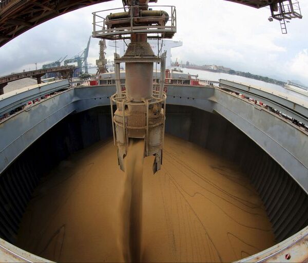 En 2022 llegaron más de US$40.000 millones y fue récord la liquidación de divisas de la agroexportación