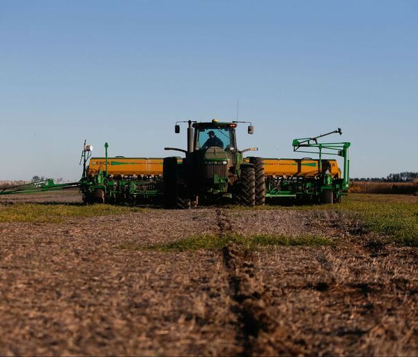 La escalada del dólar blue puede agravar el faltante de insumos críticos para el campo