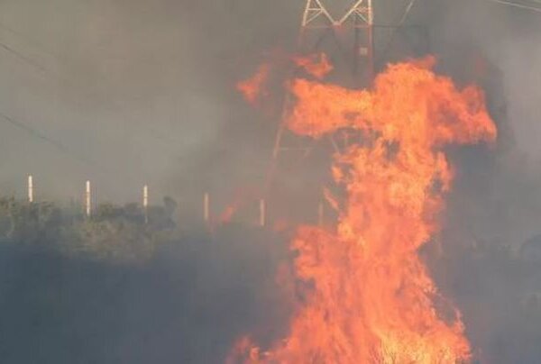 Incendio en Viña del Mar: Chile decreta el estado de emergencia por el fuego incontrolado