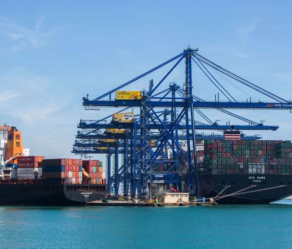 Más de 7.000 toneladas de juguetes españoles salen desde el Puerto de València con destino a 90 países del mundo