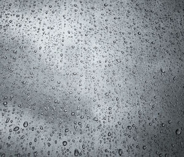 Clima en ciudad de San Luis hoy: cuál es el pronóstico del tiempo para el 24 de enero