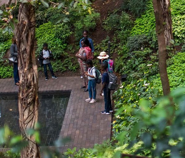 Un bosque escondido en un rascacielos, la joya arquitectónica que es un punto obligado en Nueva York