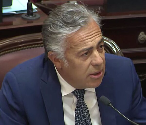 Alfredo Cornejo cruzó al Gobierno por otorgarles más de 21.000 hectáreas a comunidades mapuches de Mendoza