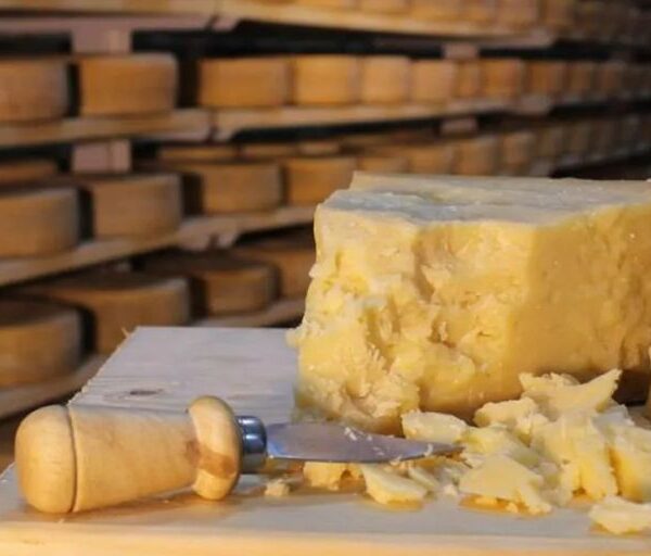Contó en Twitter cómo se elabora el queso parmesano y causó conmoción: “Me vuelvo vegana”