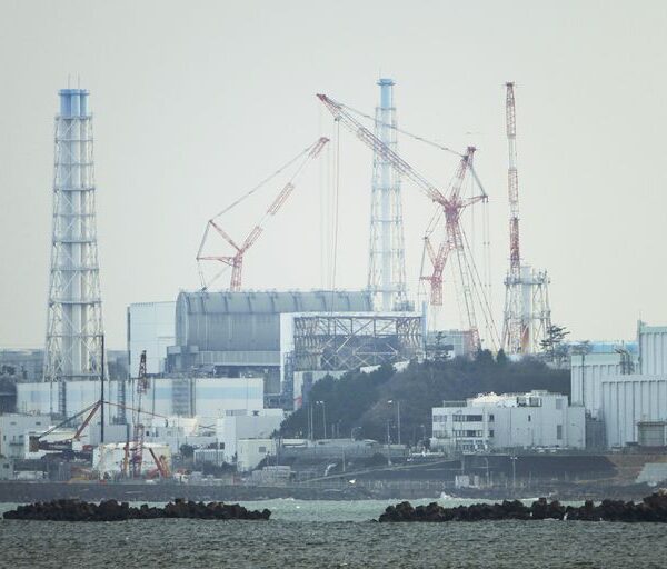 OIEA: Vertido de agua de Fukushima seguirá normas