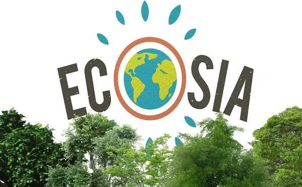 Ecosia: el Google ecológico que planta árboles con cada búsqueda