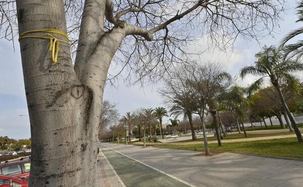 Intenta ahorcar a una mujer tras atacarla en un parque de Castellón