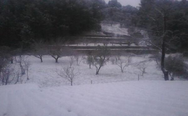 La borrasca Juliette deja las primeras nevadas en la Sierra de Tramuntana de Mallorca