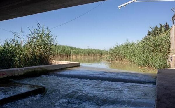 Las pedanías del Campo de Murcia se implican en proteger el Mar Menor