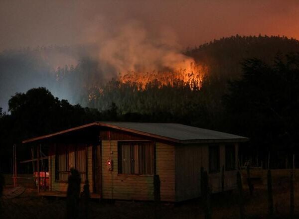 Los devastadores incendios de Chile dejan 26 muertos y casi 280.000 hectáreas arrasadas