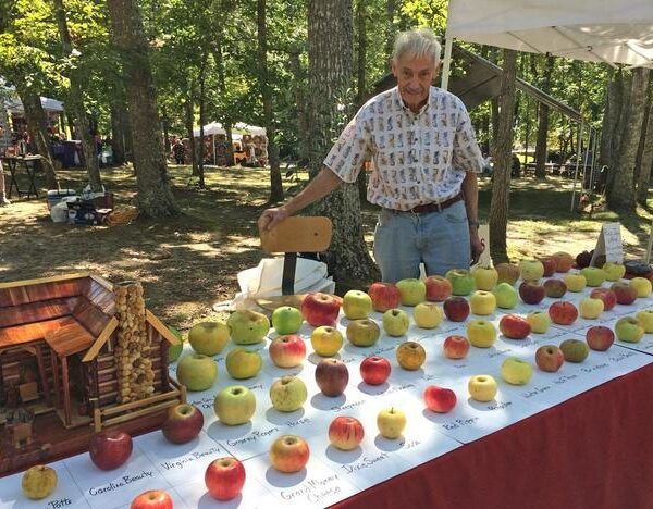 El ingeniero jubilado que ha salvado de la extinción 1.200 variedades de manzanas