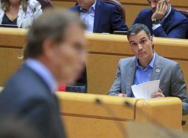 Sánchez y Feijóo se enfrentan en el Senado en plena crisis entre PSOE y Unidas Podemos