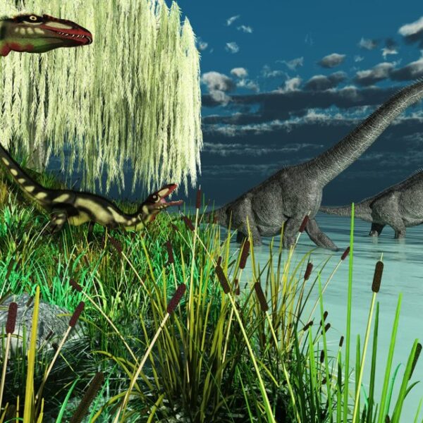 ¿Qué comían los primeros dinosaurios?
