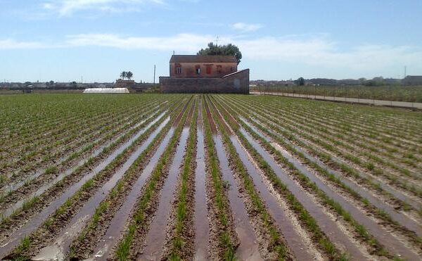 Denuncian que la actual modernización de regadíos aumenta el gasto de agua