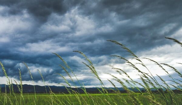 Verdades sobre el tiempo: «Las rodillas duelen cuando cambia y el viento nos vuelve locos»