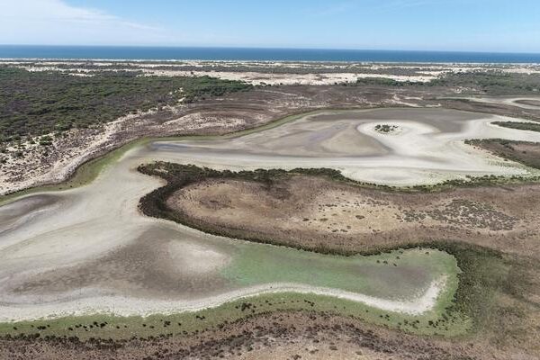 Andalucía continúa con su plan para indultar cientos de regadíos ilegales en Doñana
