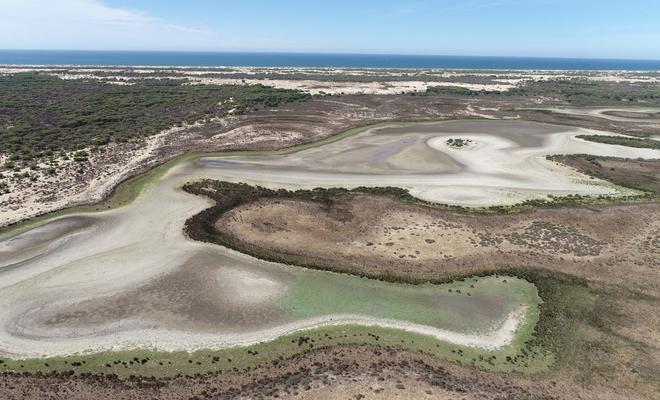 Andalucía continúa con su plan para indultar cientos de regadíos ilegales en Doñana