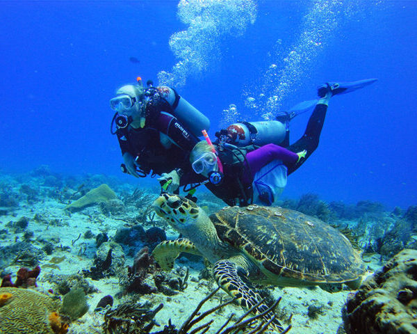 Cancún: muere turista chilena que sufrió descompresión en Holbox