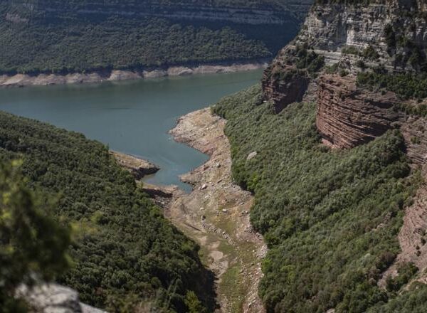 Los pantanos españoles llegan al 51,2% de capacidad