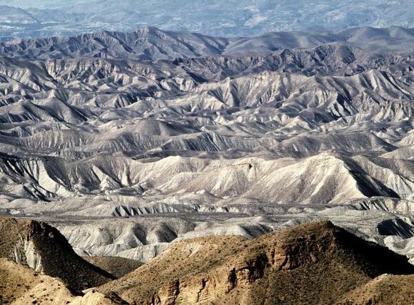 “La desertificación en España ya no es un riesgo, es un problema”, alertan los científicos