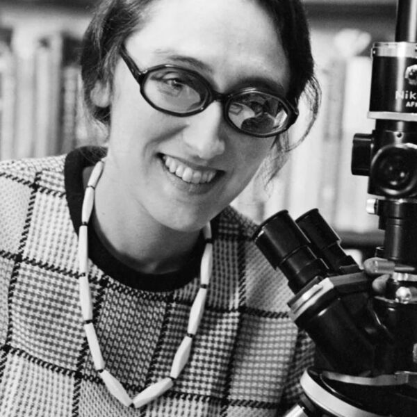 Lynn Margulis, la bióloga que reinterpretó la evolución