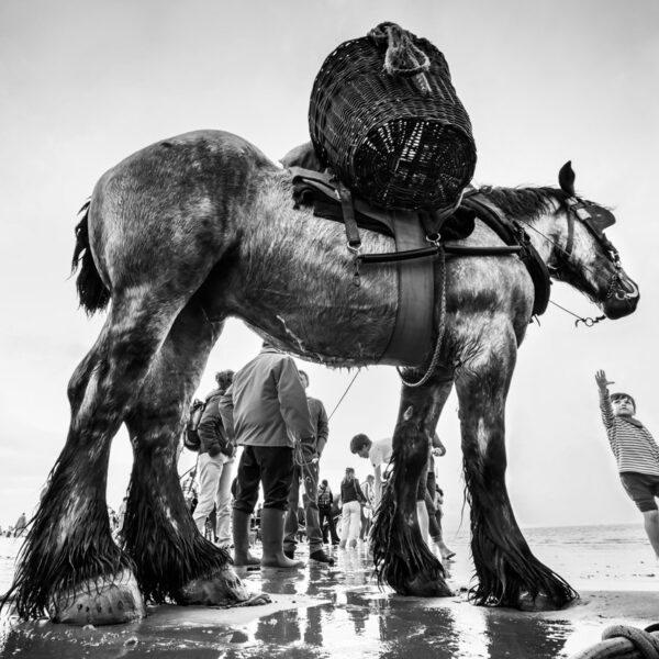 Pescadores con caballos