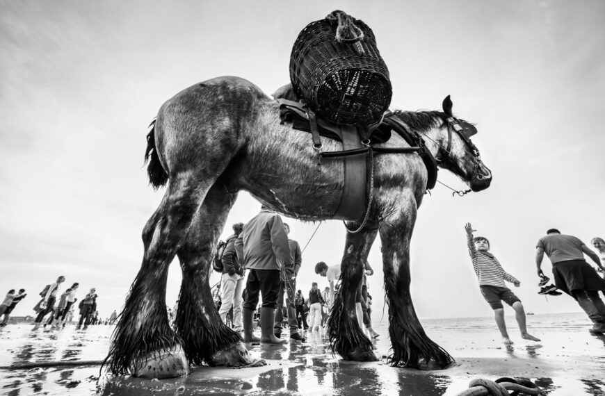 Pescadores con caballos