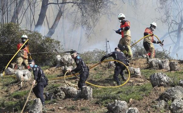 La dificultad de probar el delito obliga a la Justicia a condenar con penas leves los incendios forestales