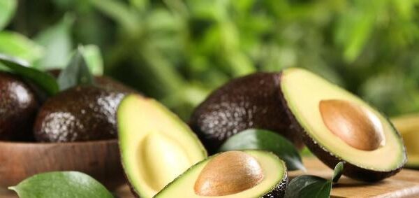 El aguacate, el gran aliado de la salud y la belleza