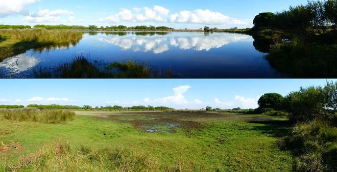 La Unesco se declara “preocupada” por la amnistía a los regadíos ilegales de Doñana