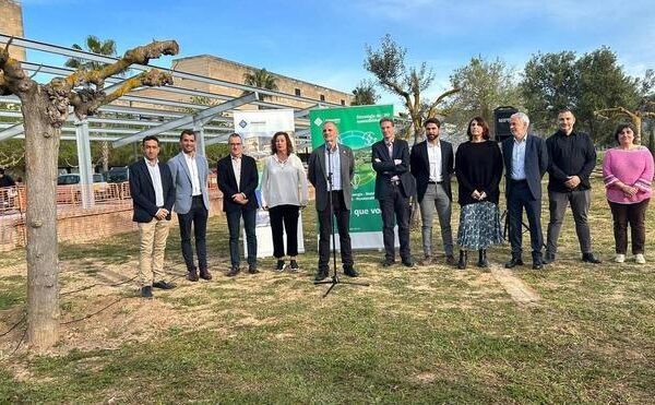 El rector de la Universitat de Baleares, sobre las obras extraviadas: “No hay constancia de que los cuadros hayan entrado nunca en la UIB”