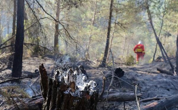 Extinguido el incendio declarado en Castellón 19 días después