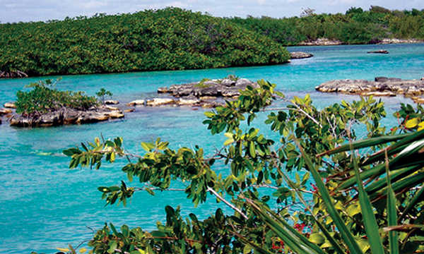 Cancún: añaden al Tren Maya y al aeropuerto de Tulum tierras de una reserva natural