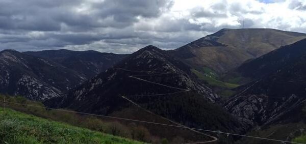 Asturias descarta ahora que una “banda organizada” esté tras los incendios