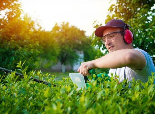 Pon tu jardín o terraza a punto para el buen tiempo con estas herramientas