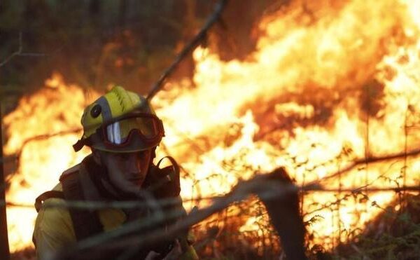 La Guardia Civil comunica a la Fiscalía que tiene identificados a los autores de 15 incendios en Asturias