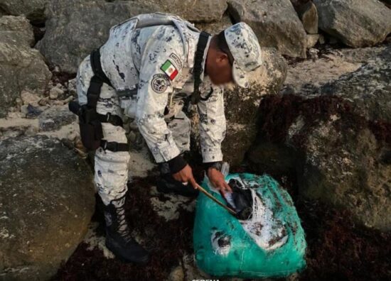 Tulum: sorpresivo hallazgo de cocaína oculta entre sargazo