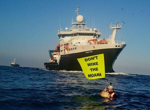 Campaña de firmas contra la minería submarina: “Destruye los fondos oceánicos y empeora la crisis climática”