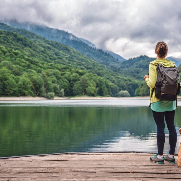 5 consejos básicos para viajar con tu perro