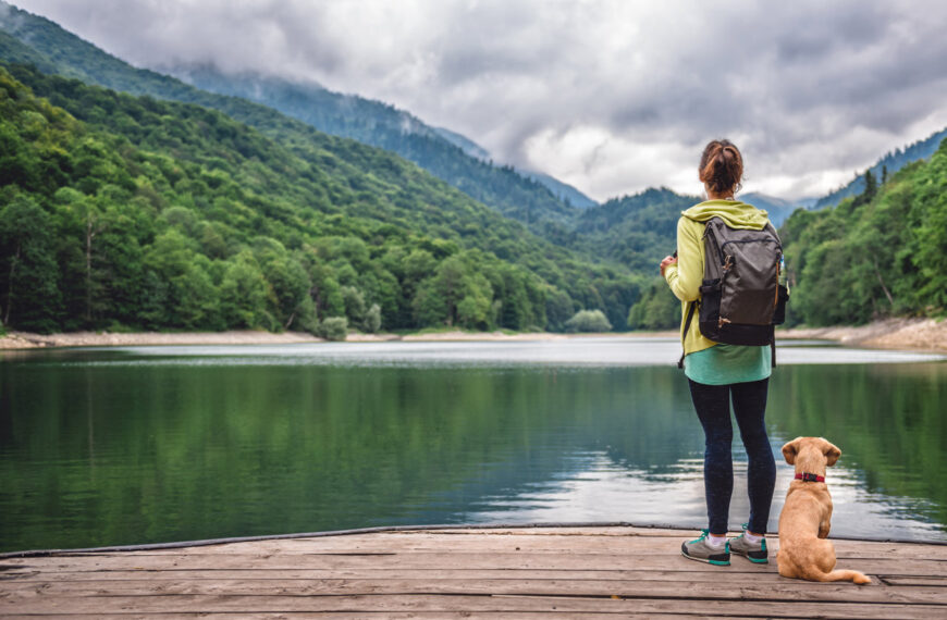 5 consejos básicos para viajar con tu perro