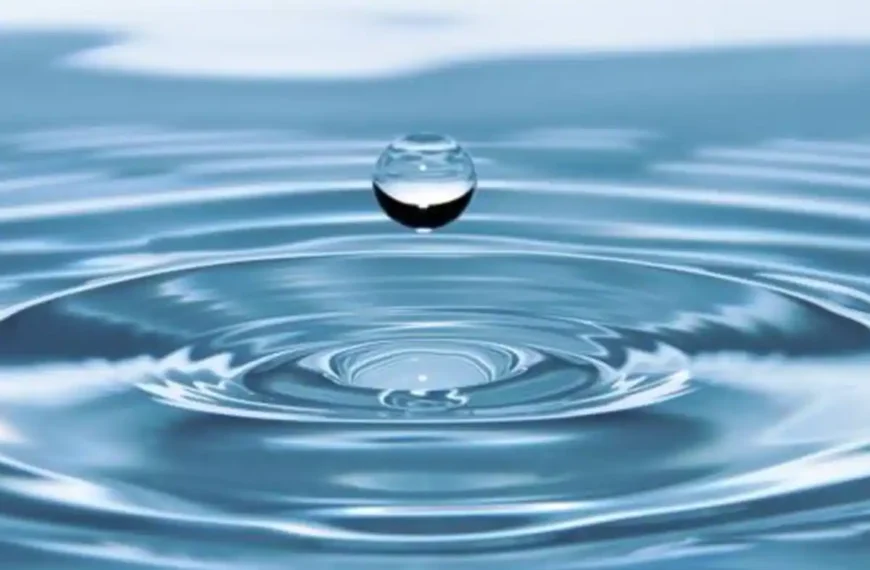 Agua para la Prosperidad y la Paz: La Importancia del Día Mundial del Agua en 2024